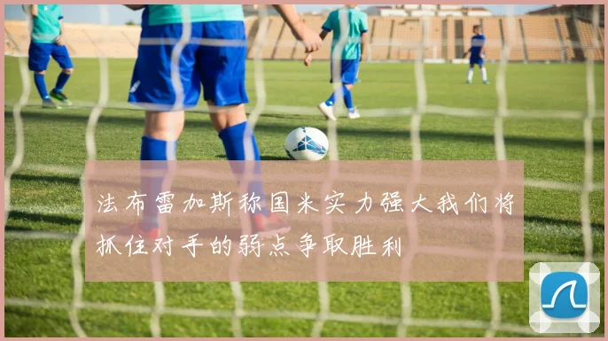 法布雷加斯称国米实力强大我们将抓住对手的弱点争取胜利
