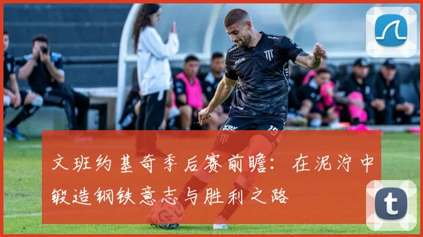 文班约基奇季后赛前瞻：在泥泞中锻造钢铁意志与胜利之路